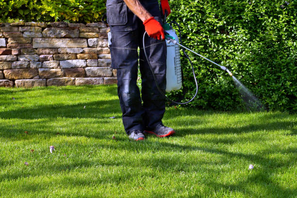 Best Pest Exclusion Services  in Gallipolis, OH